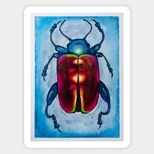 Beetle Sticker